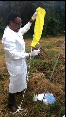 Nicholas Kiulia collects untreated sewage samples from a lagoon in Kenya using a novel bag-mediated filtration system (BMFS), a technique being evaluated by WHO for environmental surveillance for polioviruses in developing countries.