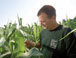 ARTICLE:  MSU Product Center Assists Michigan's Agriculture and Food Industries