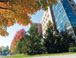 ARTICLE:  New Directions for MSU's Business School:  Engaged, Global, Sustainable, Entrepreneurial