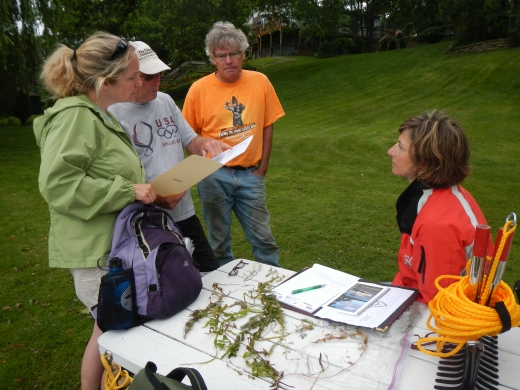 Latimore helps volunteers with the Cooperative Lakes Monitoring Program identify plants and differentiate between native and invasive species.