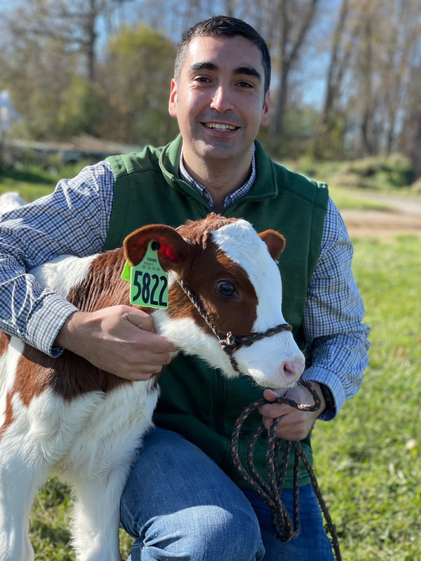 'Calves represent the future of the dairy farm,' said Ethan Haywood of Sand Creek Dairy in Hastings. Ángel Abuelo and his students have visited the farm as part of their research on strategies to bolster calf immunity in the early weeks of life.