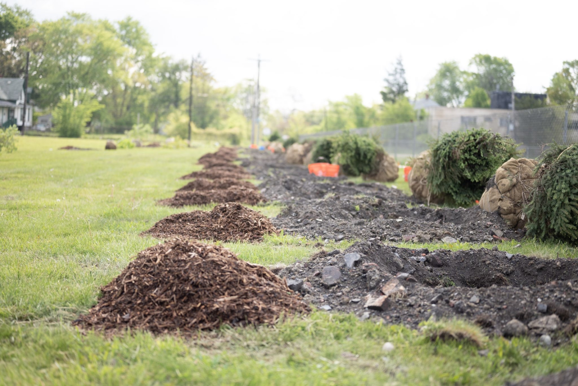 Science teacher Shirley Brezzell worked with American Forests' Tree Equity program to change the landscape at Mackenzie Elementary-Middle School in Detroit.