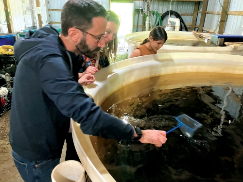Loch nets samples at a Michigan fish farm. In the background are visiting scientist Fabiana Pilarski from São Paulo State University and MSU doctoral student Nisha Shrestha.