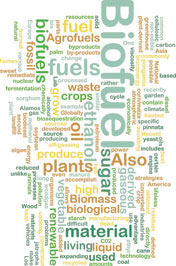 Biofuel Word Cloud
