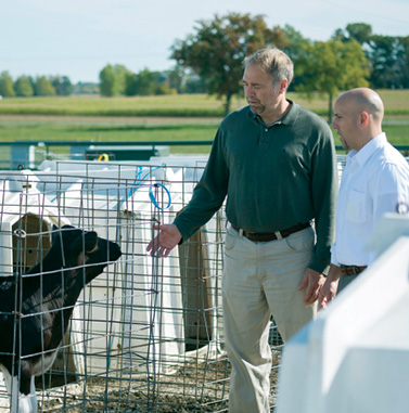 Ron Erskine (left) and recent Ph.D. graduate James Averill at the MSU Dairy Farm.