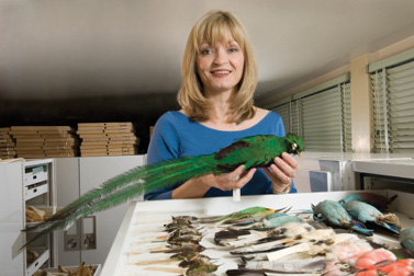 Pamela Rasmussen, MSU integrative biologist and assistant curator at the MSU Museum.