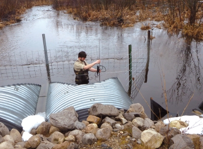 Lab technician Blaze Budd measures discharge using an OTT acoustic digital current meter at Black Creek within the Manistee River watershed.