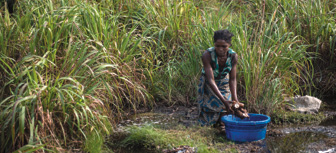 A woman retrieves cassava roots that have been soaking in a stream outside of Kahemba.