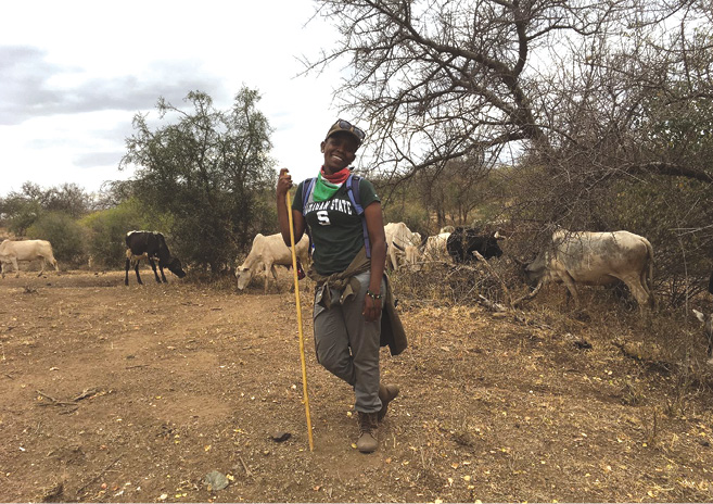 Roselyn Kaihula studies the anti-predator behavior of cattle on the rangelands of the Maasai steppe, Tanzania.