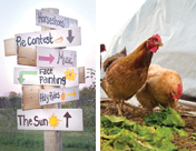 Student Organic Farm Signs